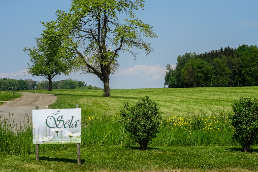 Sela Begrüssung